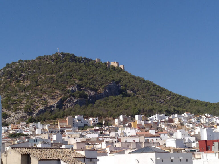 Agencia Inmobiliaria APISUR JAÉN