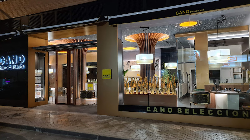 Cano Inmobiliaria - inmobiliaria