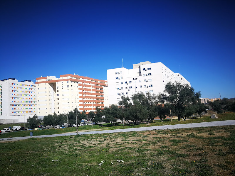 El Junquillo - inmobiliaria