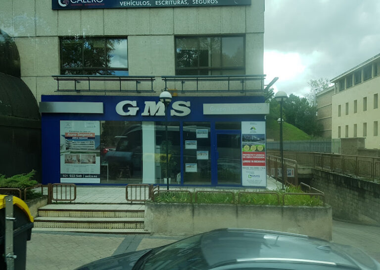 GMS INMOBILIARIA