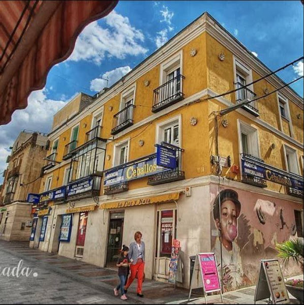 Inmobiliaria Ceballos
