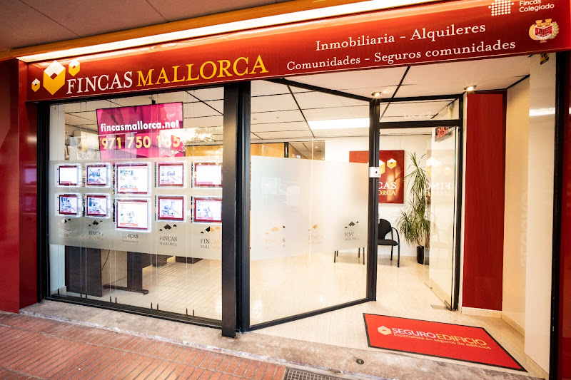 Inmobiliaria Fincas Mallorca – Venta y Alquiler Pisos Palma. Experto Inmobiliario. - inmobiliaria